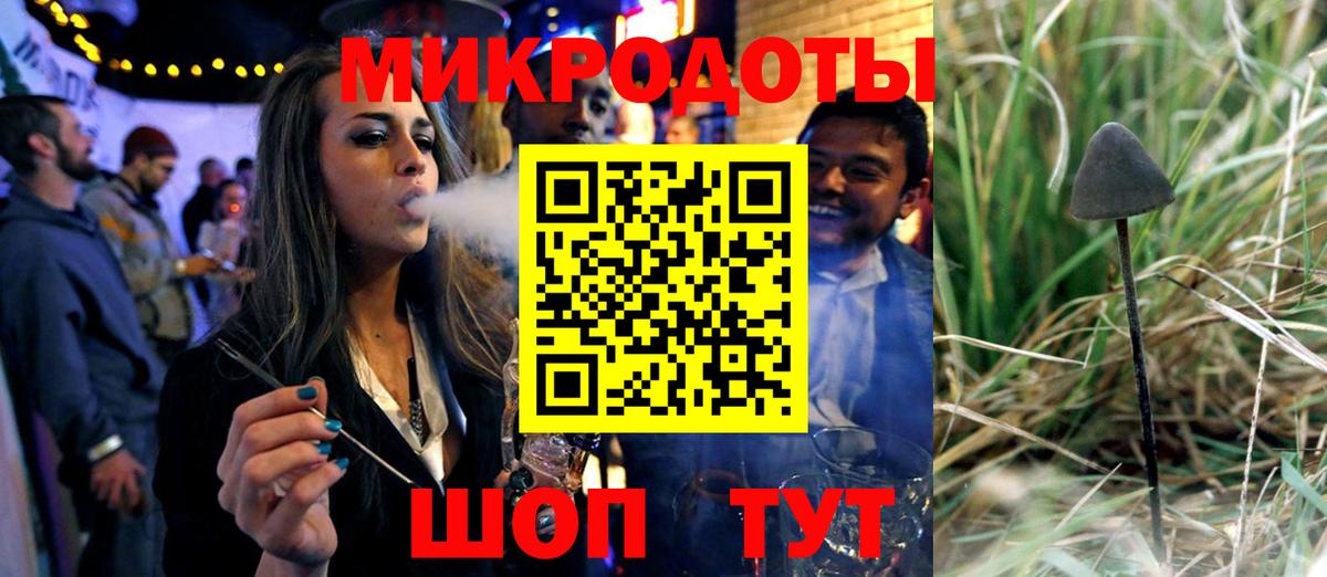 Галлюциногенные грибы Psilocybine cubensis Домодедово